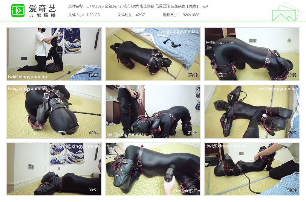 【鹿角与猫爪】 全包Zentai伪娘爪爪 k9犬电击 马具口球皮革头套-缚乐绳资源